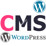 Установка и настройка Wordpress